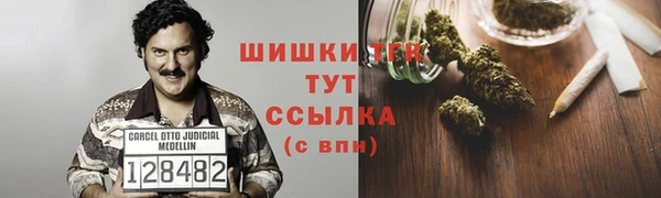 ГАЛЛЮЦИНОГЕННЫЕ ГРИБЫ Каменногорск