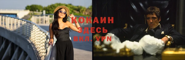 ГАЛЛЮЦИНОГЕННЫЕ ГРИБЫ Каменногорск