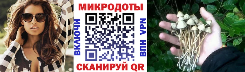 купить наркотик  Мытищи  Псилоцибиновые грибы мицелий 